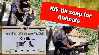 Kik tik soap | Permethrin Animals soap| kilni ko khatm kre