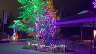 Boo Lights Hogle Zoo SLC 2021