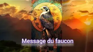 Message de l'Esprit sacr&eacute; du faucon inspir&eacute; des cartes Oracle de Fr&eacute;d&eacute;ric Calendini 🙏💖🪽✨🪶