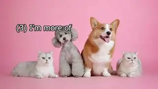 2026-01-21 dog person イヌ派 / cat person ネコ派