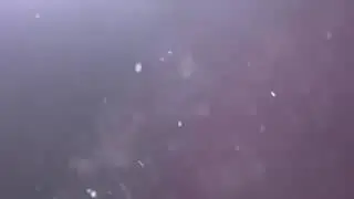Shockwave intro no text