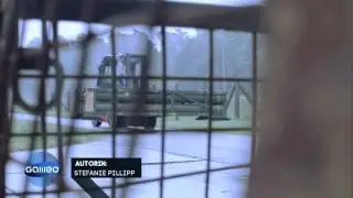 Galileo Aircraft's demilitarization in Schortens TDM Electronics