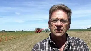 Slow start to 2011 tomato processing
