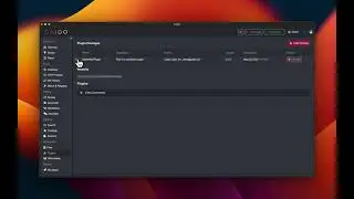 Mastering Caido: Plugin Management