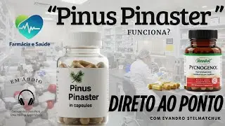 Pinus Pinaster Funciona?
