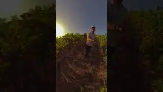 Vigneti di Vulcano 🌎🍇  #eolianislands
