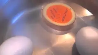 Egg Timer Review
