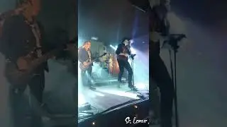Sr. Lemur en directo. Diciembre 2025.