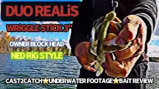 Duo Realis Wriggle Stick rigged Ned Rig Style. Cast2catch Bait Review + underwater footage