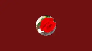 Jyoti's Garden is live! hello friends #viral#live stream