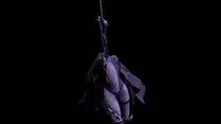 REQUIEM D'UNE PRINCESSE POUR UN CHEVALIER (Clip 3D) Dark fantasy