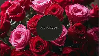 LEARN MORE ABOUT AED MARSHALL (AEDM) WITH Compassion Advisors FZ LLCكومباشن ادفايزورز ش م ح- ذ م م