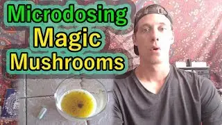 My Experience With Microdosing Magic Mushrooms (Benefits & Negatives)