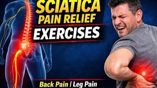 @pawanphysio Back Pain, Disc Bulge & Sciatica Pain Relief | Physiotherapy Exercises | L4-L5, L5-S1
