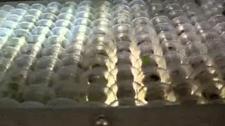 Roller Sorter (Detail)