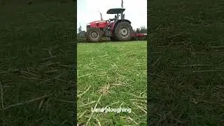 virgin land preparation