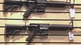 DuPage County sheriff now says he will enforce assault weapons ban