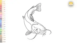 Catfish drawing easy way | How to draw A Catfish step by step | Draw A Catfish | Outline drawings