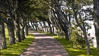 Walking Omaha Beach