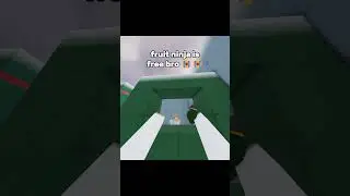 #halo