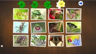 Insects puzzle is a fun and exciting jigsaw puzzles with insects