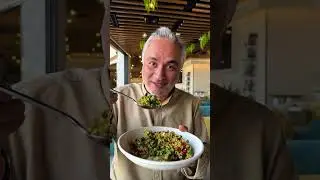 Bash Cafe: Lebanese Restaurant on the Waters in Dubai. Good Food, Happy Vibes