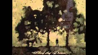 Bleed The Dream - Black Sky's