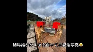 ジムニーシエラでわんずと車旅🚗2025.12.30-2026.1.3【前編】