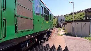 1001 Thumper West St Leonards 5Z87
