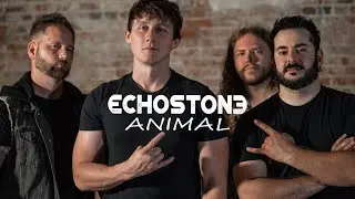 Echostone - Animal (Official Video)