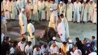  عيساوية سيدي بوسعيد عام 2016