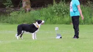 SM i Rallylydnad 2022