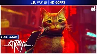 STRAY | PS5 | Full Game (4K 60FPS)