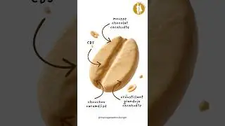 Trompe l&rsquo;oeil cacahu&egrave;te 🥜 #trompeloeil #recipe #illusion #faitmaison #pastry
