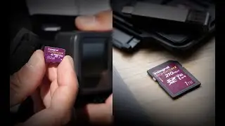 Integral Momentum I SD & microSD Cards | Speed, Performance & Durability for Creators