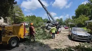 ExperTrees Tree Service Knoxville, TN