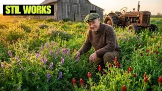 7 WWII Cover Crops That Replace Hay Completely &mdash; Why Did Feed Companies Bury Them?
