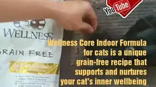 Cat Food Adult Wellness Core
