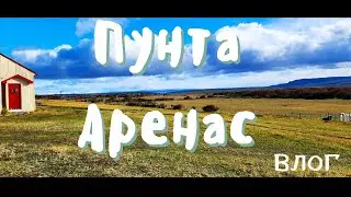 Чили | Пунта Аренас | Круиз | Экскурсия на овечью ферму | Вокруг Южной Америки | Влог