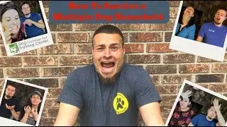 How To Survive a Multiple Dog Household | 1 Pro Tip
