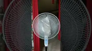 improvise aircon during summer time... #solar #solarrevolution