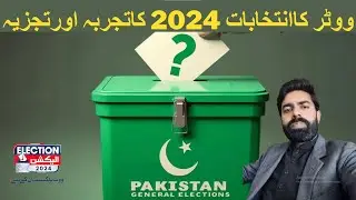 Individual voter experience & analysis of election 2024