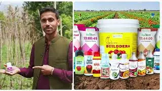#BandhanAgritech #BananaFarming #AgriSolutions #smartfarming
