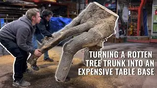 This Rotten Tree Would Have Been Garbage If We Didn't Do This