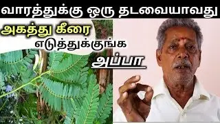 வாரத்துக்கு ஒரு நாள் அகத்து கீரை எடுத்துங்குக.அப்பா || AGATHI KEERAI || APPA TIPS || KAYAKALPAM TV