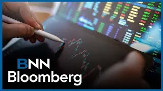 AI winners remains stocks to own: analyst