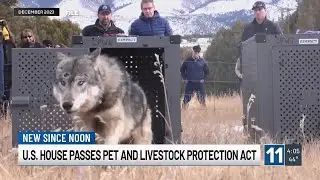 House passes Pet and Livestock Protection Act