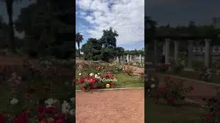 Caminata por rosedales
