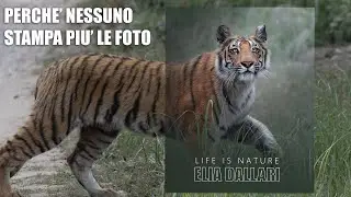 Perché abbiamo smesso di stampare le nostre foto?