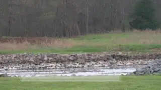 CPSO: Body found near Wallace Lake Dam